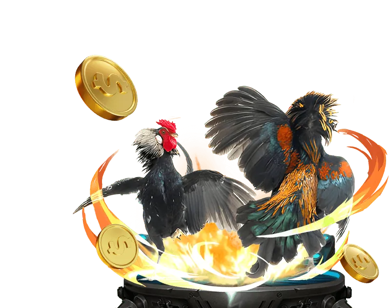 Vòng quay miễn phí